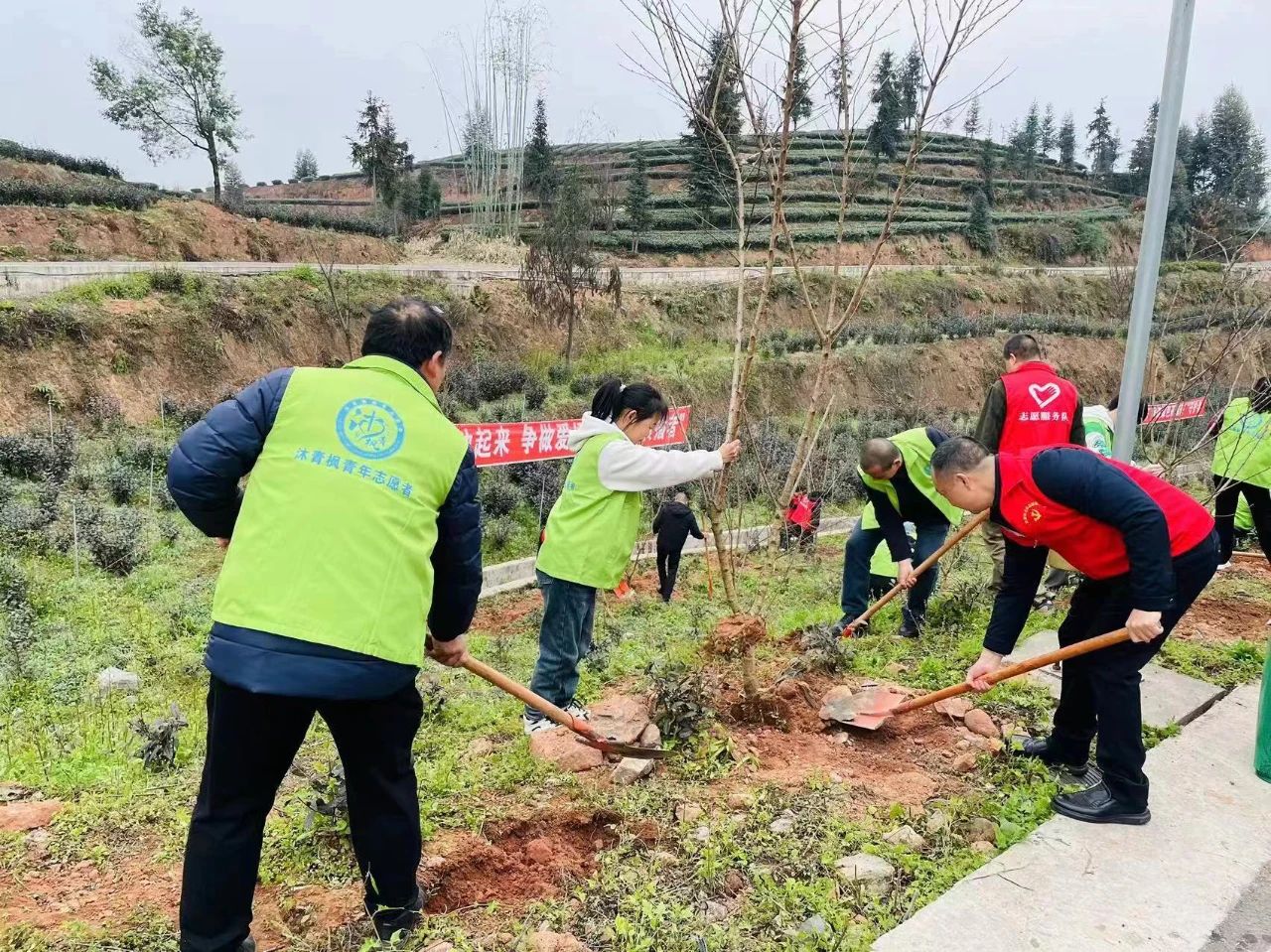 福州市鼓楼区开展2024年度义务植树活动