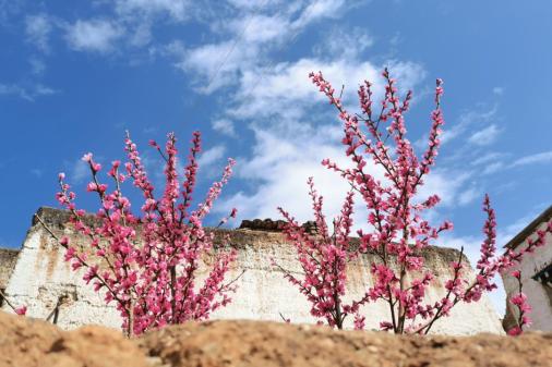 在图片故事里看见中国产业实意盎然