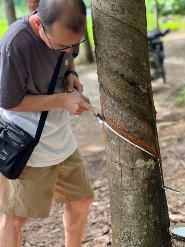 合成橡胶期货6月12日主力大幅上涨5.35% 收报16555.0元