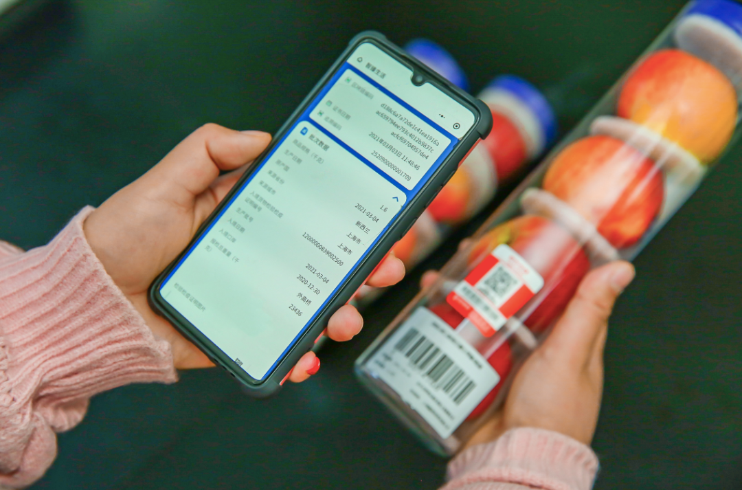 从菜园到舌尖,京东全链数字化溯源护航河北“果蔬进京”