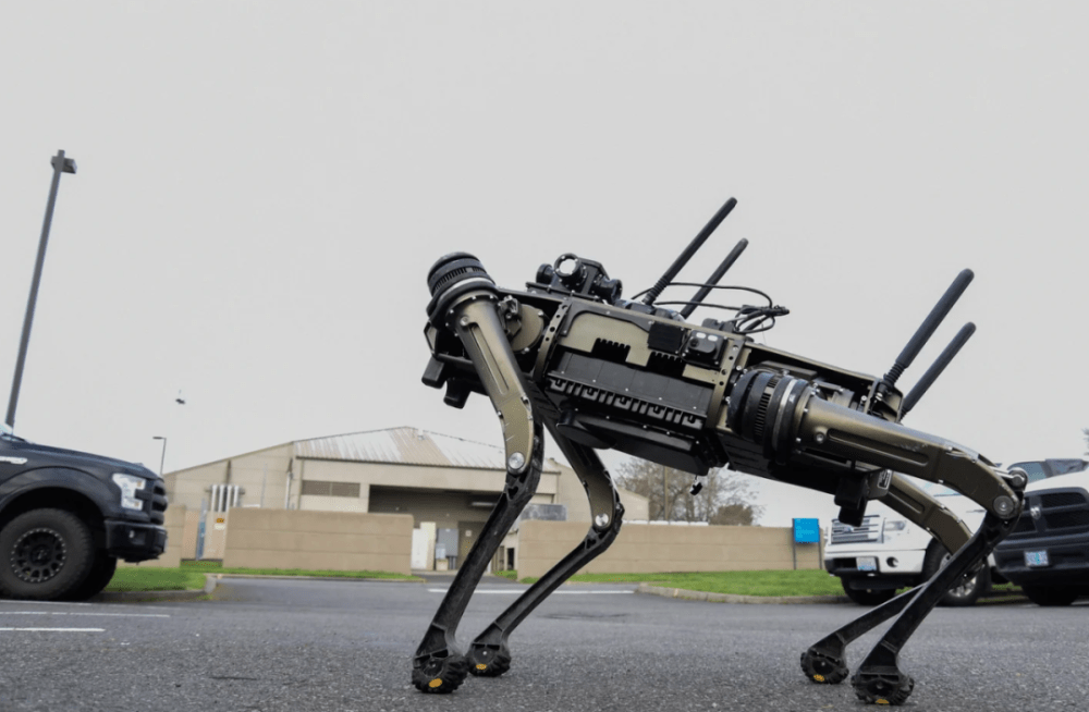 冠军的机器狗什么样？