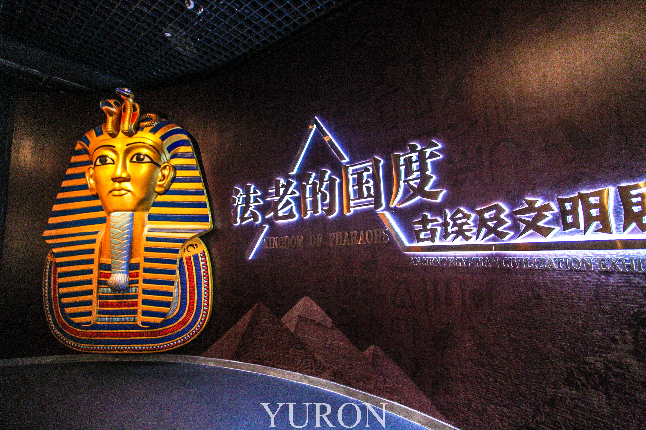 新华全媒+|“金字塔之巅:古埃及文明大展”在上海博物馆开幕