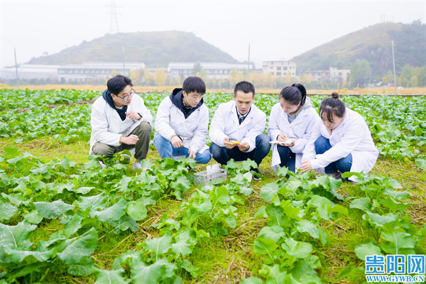 光群杯·第二届全国大学生绿色化妆品创新创意大赛总决赛评委会工作会议召开