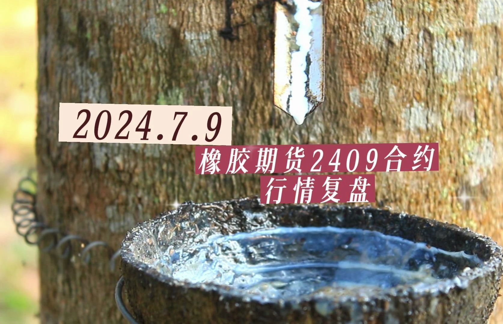(2024年7月30日)今日合成橡胶期货最新价格行情查询