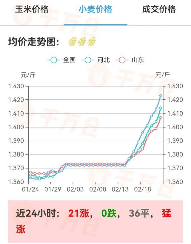 （2024年8月1日）今日合成橡胶期货最新价格行情查询