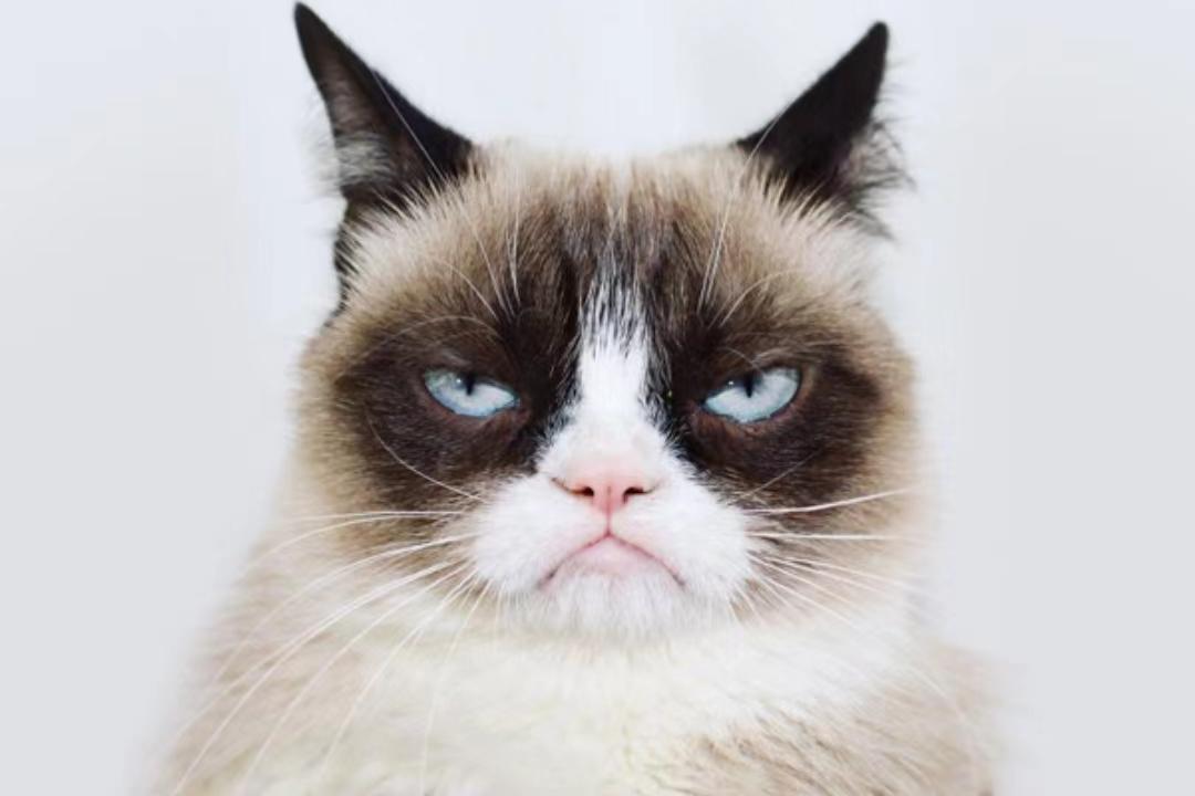 保险资产风险分类办法迎修订