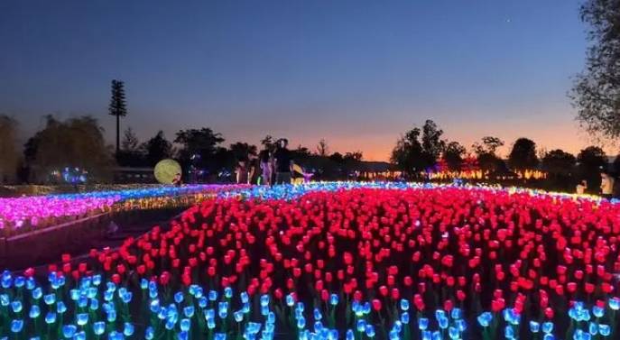 山东淄博:创意夜游感受夏夜精彩