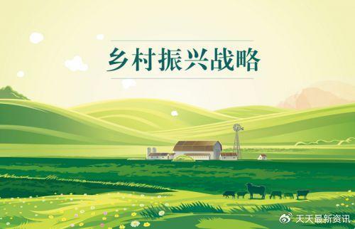 五大金融专项行动助推乡村全面振兴