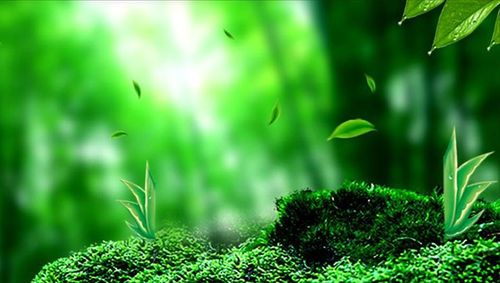 NCGC赛事全国高校化妆品未来人才扶持计划正式启动