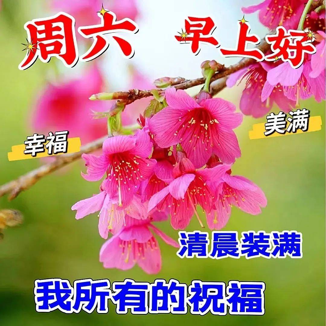 （2024年9月6日）今日合成橡胶期货最新价格行情查询