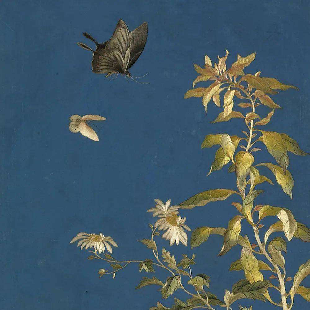 台北故宫博物院推出“清代文献中的公主身影”特展