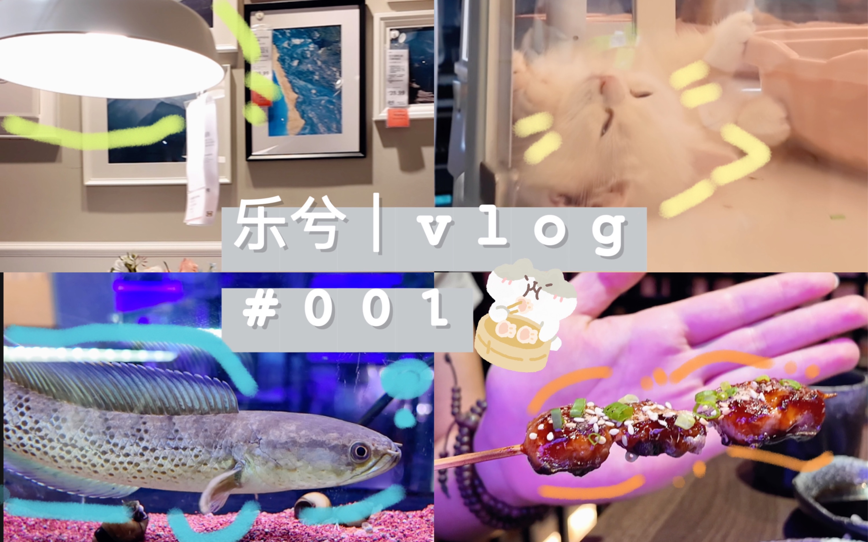 Vlog|走,去山东逛宠展