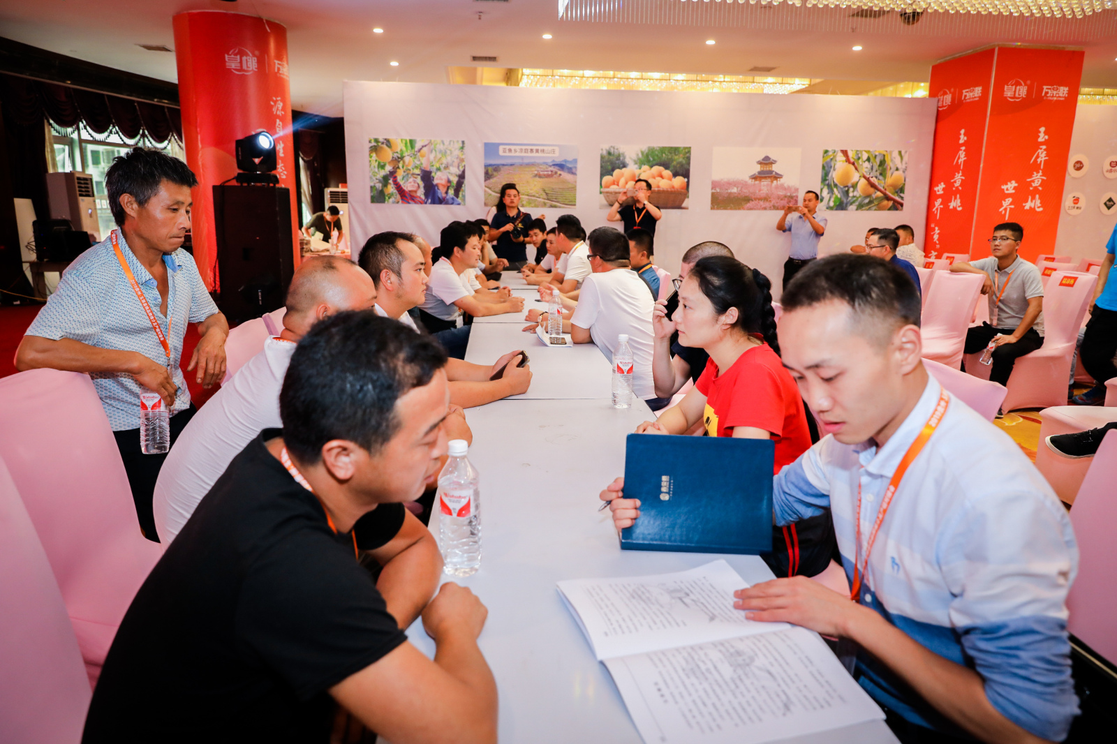 2024年武功猕猴桃采摘节暨产销对接会即将举办