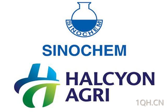 合成橡胶期货9月23日主力大幅下跌4.09% 收报15355.0元