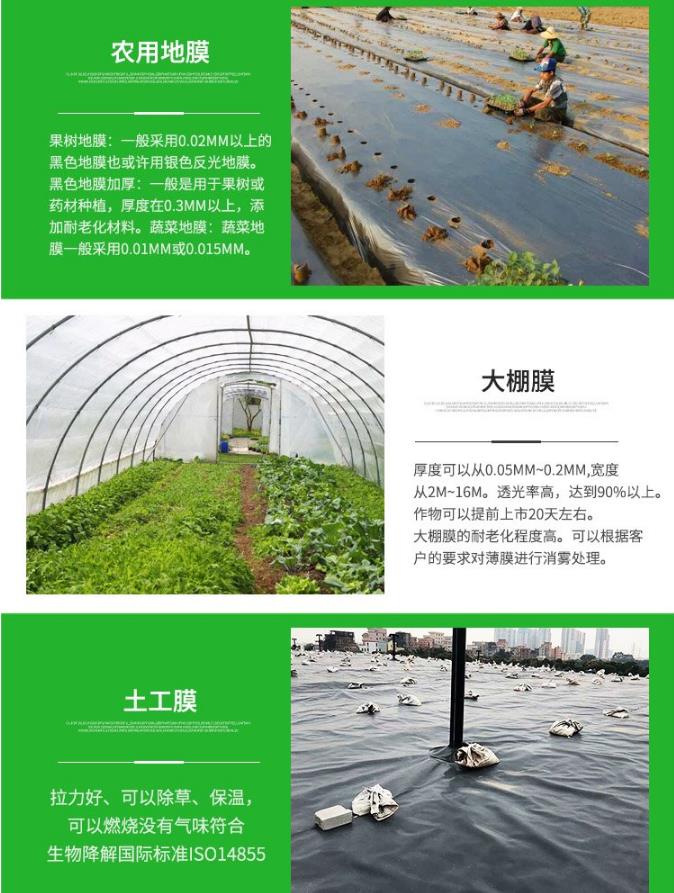 绿色数智能致远 融合新质建未来——第21届东博会专访葛洲坝集团股份有限公司副总经理胡智军