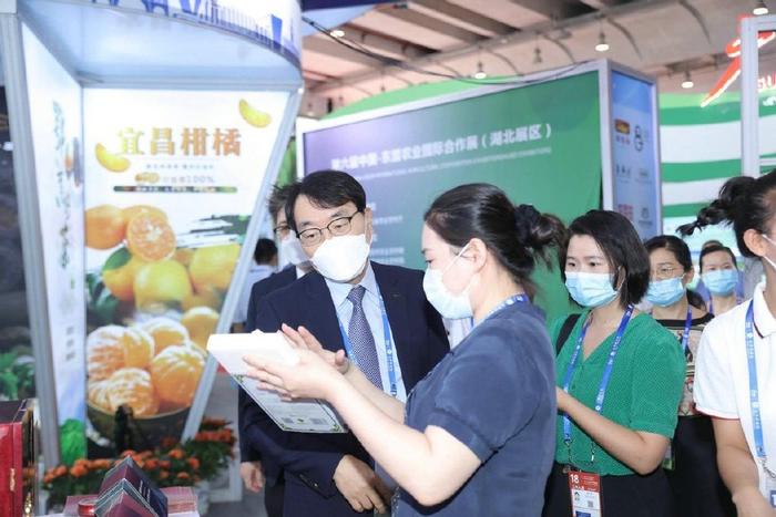 新华全媒+丨育“新”逐“绿” 稳“链”扩“圈”——从东博会看中国—东盟合作新机遇