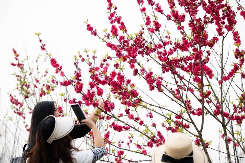 “国社之镜·世纪光影”新华社新闻摄影展|百花齐放（上篇）