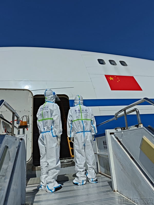 又一船进博会展品抵沪 秘鲁“小羊驼”来了