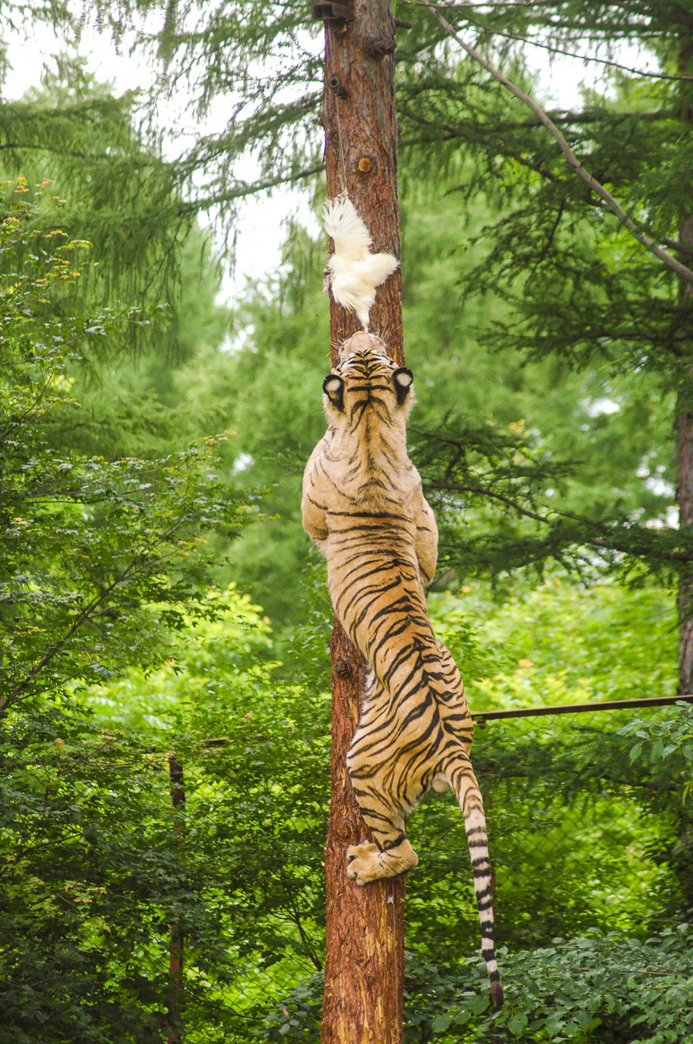“国社之镜·世纪光影”新华社新闻摄影展 | 国泰民安（上篇）