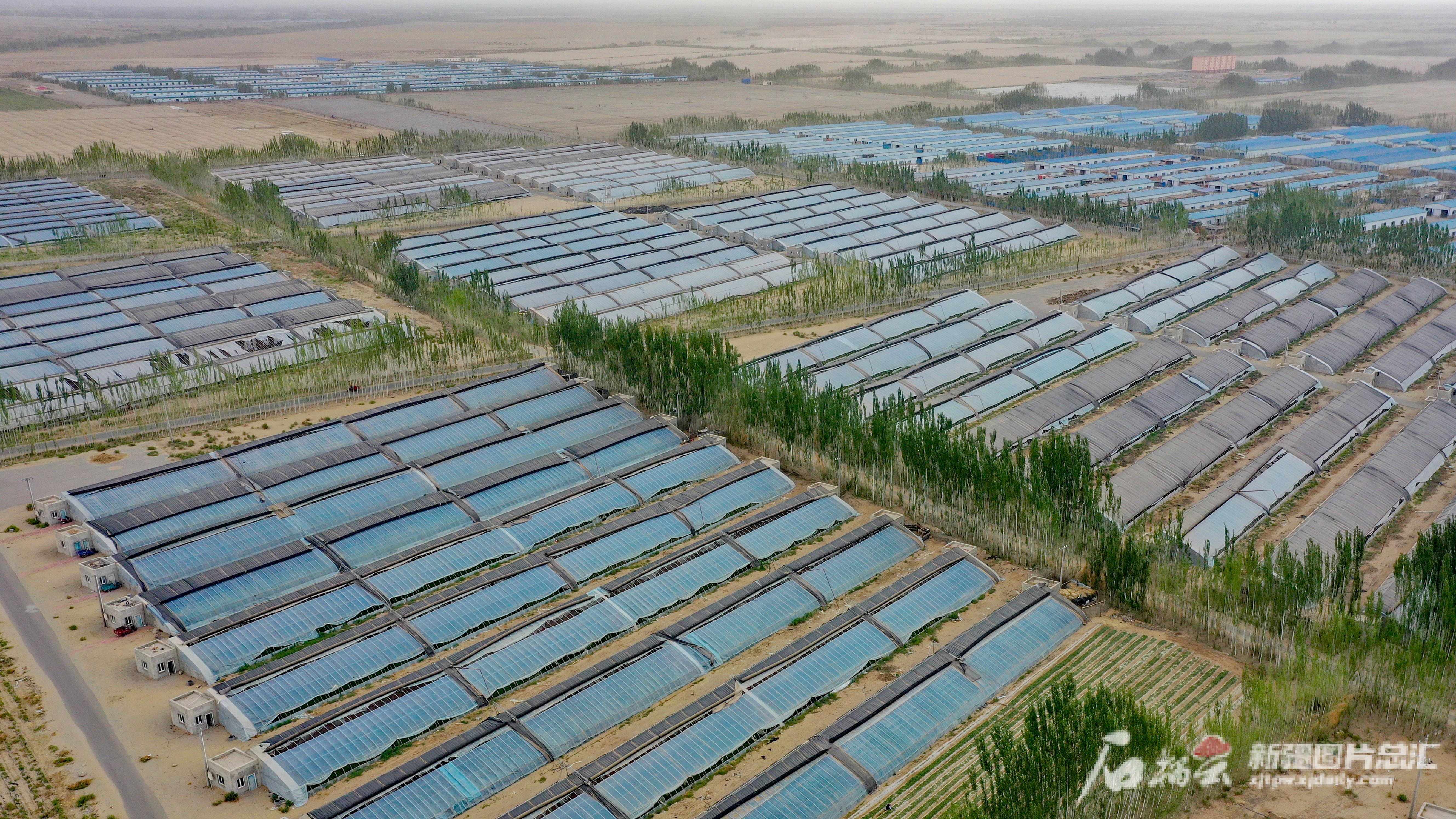 美丽、热情、精彩！外媒记者眼中的新疆