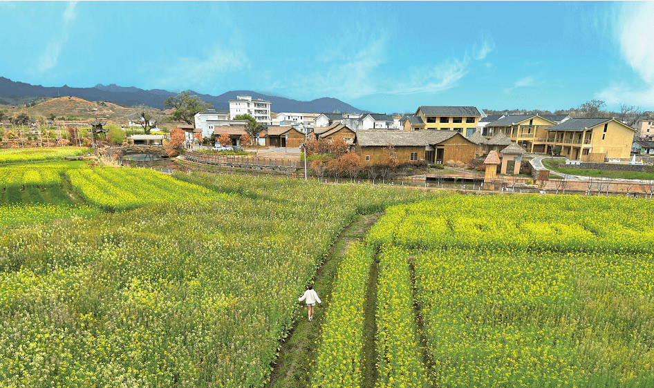 第三届未来杯·全国大学生绿色化妆品创新创意大赛大湾区赛区启动