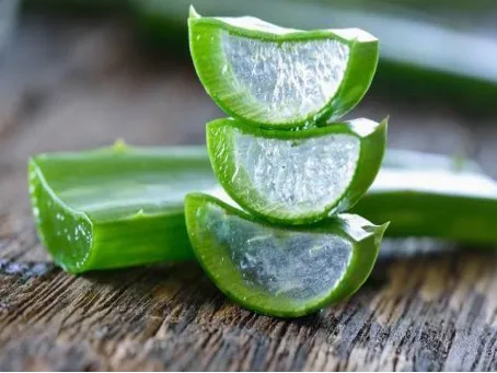 第三届全国大学生绿色化妆品创新创意大赛大湾区赛区开幕式举办