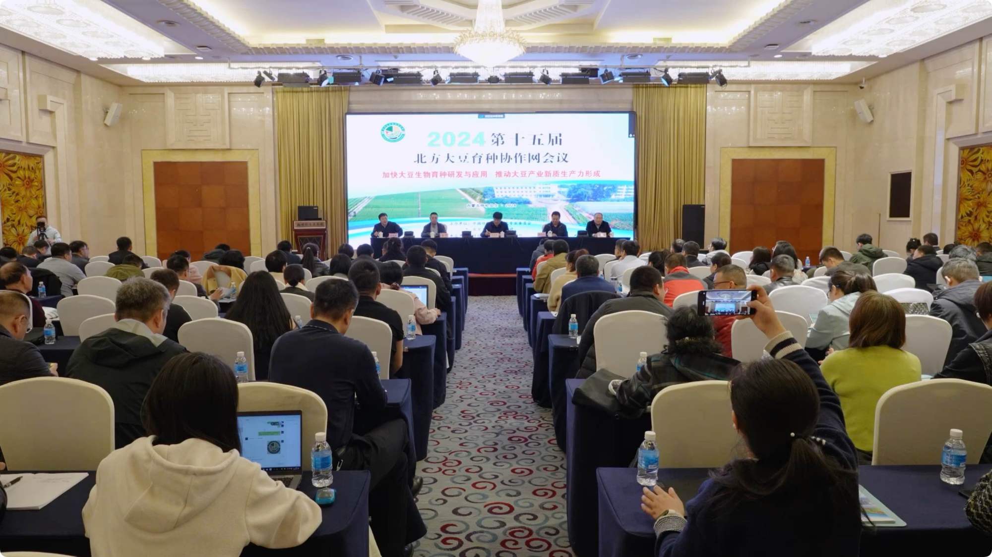 国泰产险赵承：聚焦数字化创新与差异化竞争 助力保险业高质量发展