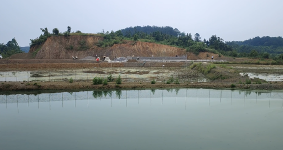 湖北阳新举办2024黄石“阳新屯鸟”品鉴推介会