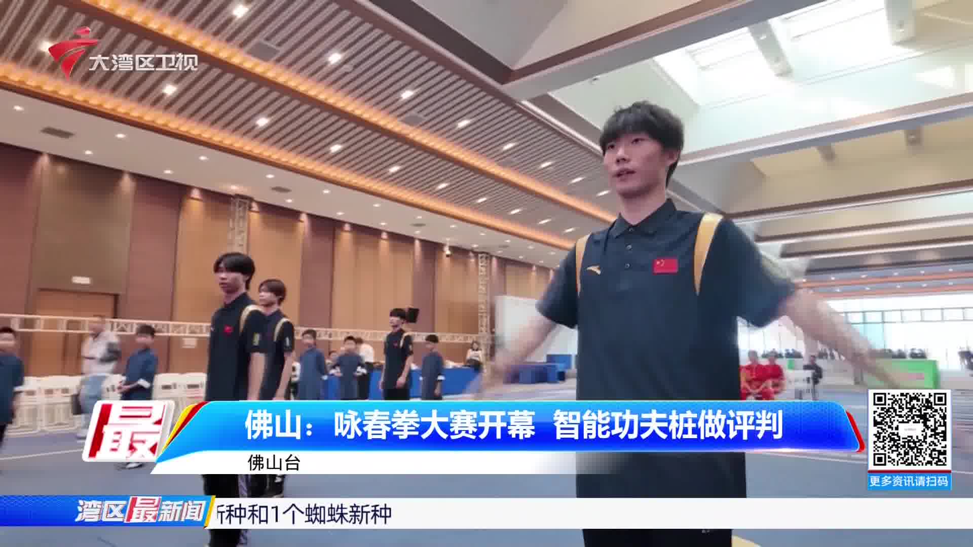 传承咏春拳文化 2024国际咏春拳大赛在佛山落幕