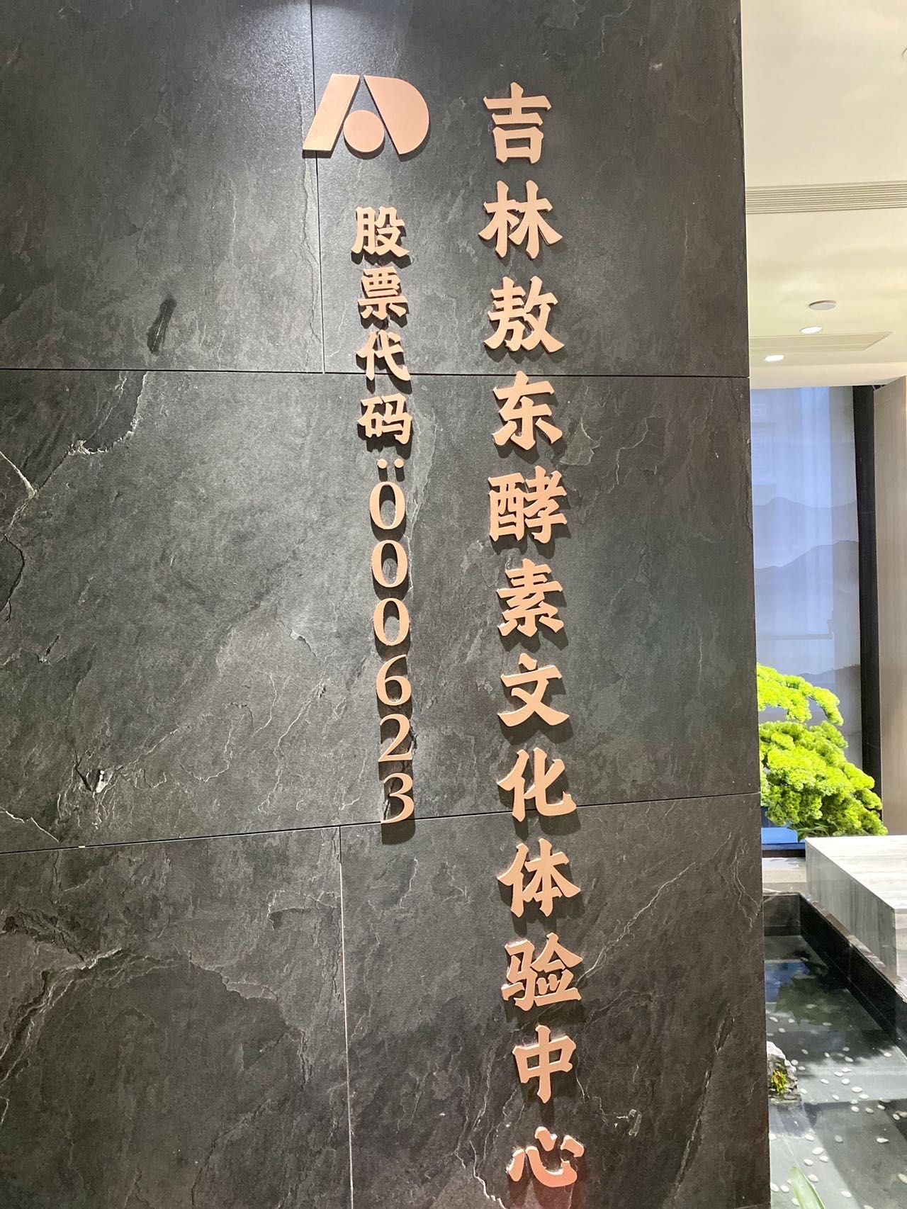 瑞众保险居家养老展厅正式落地 向“保险行业的康养服务专家”迈进稳健一步