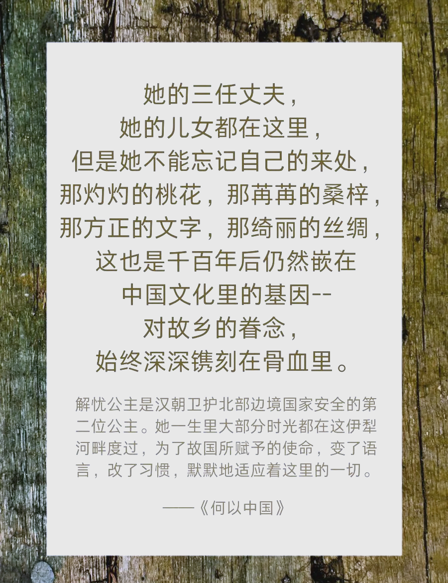 “何以中国·闽山闽水物华新”网络主题宣传活动在福建武夷山启动