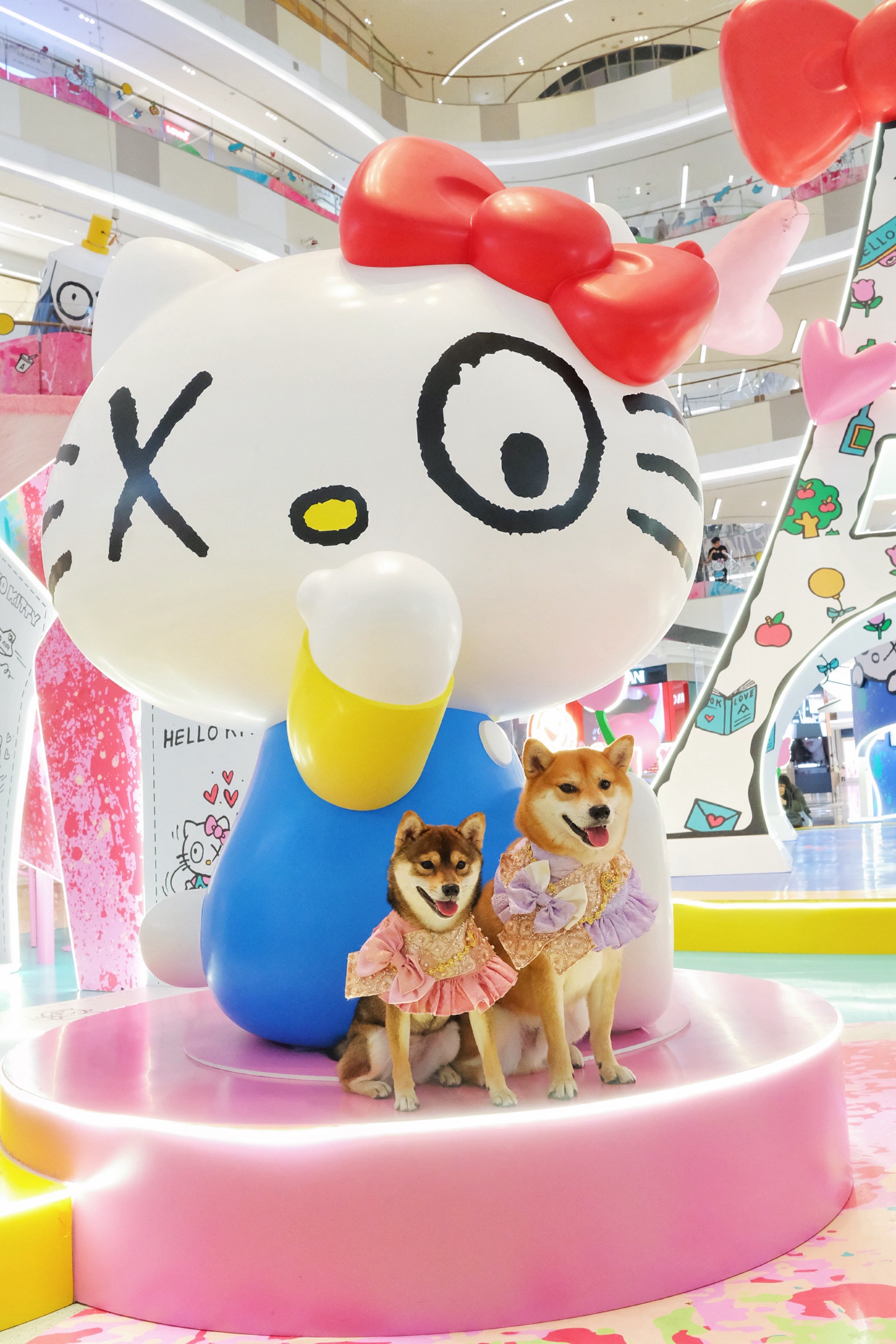 上海：第五届TOPS它博会宠物展开幕