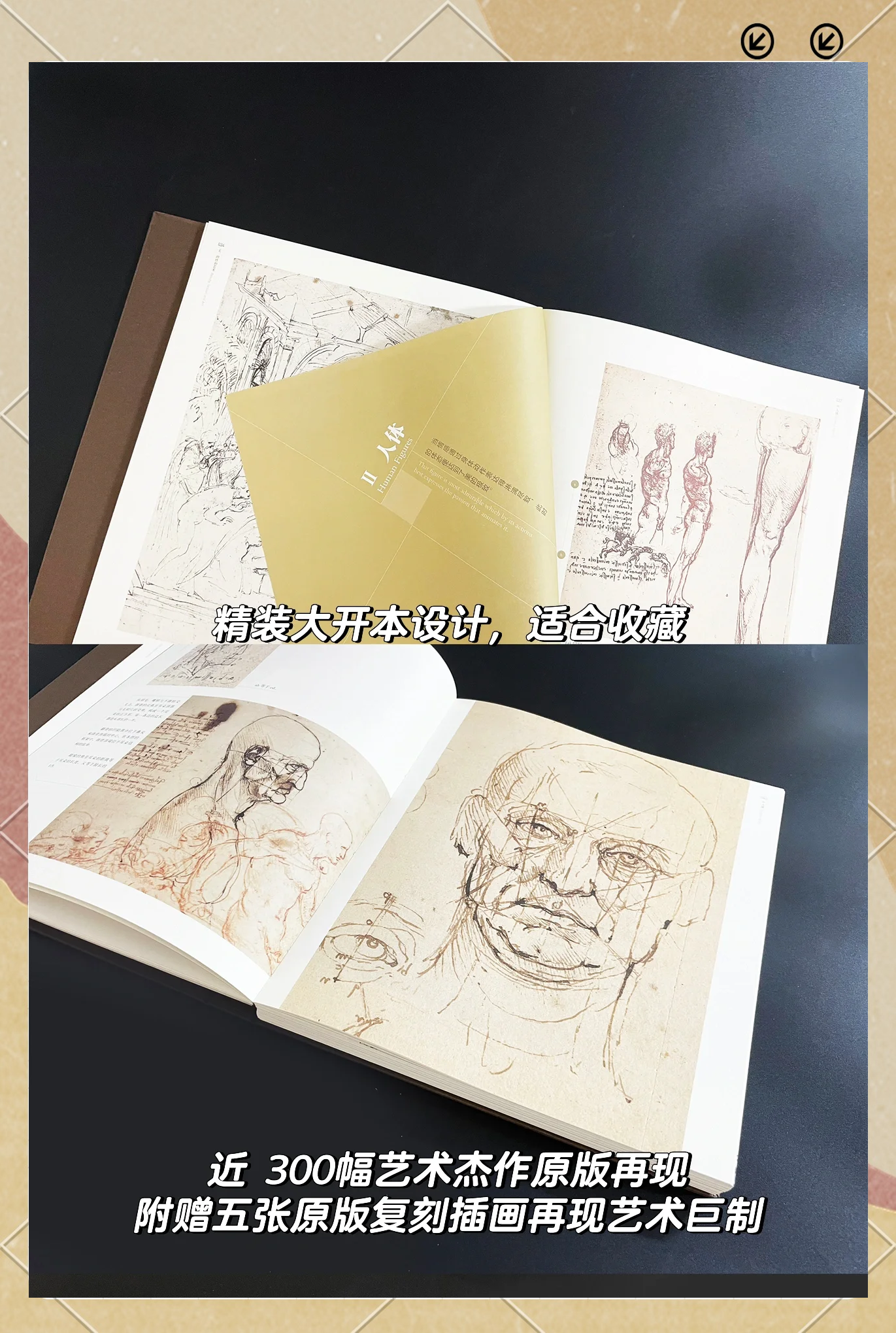 “时空和鸣：解密达·芬奇的艺术科技与自然韵律”特展在北京开幕