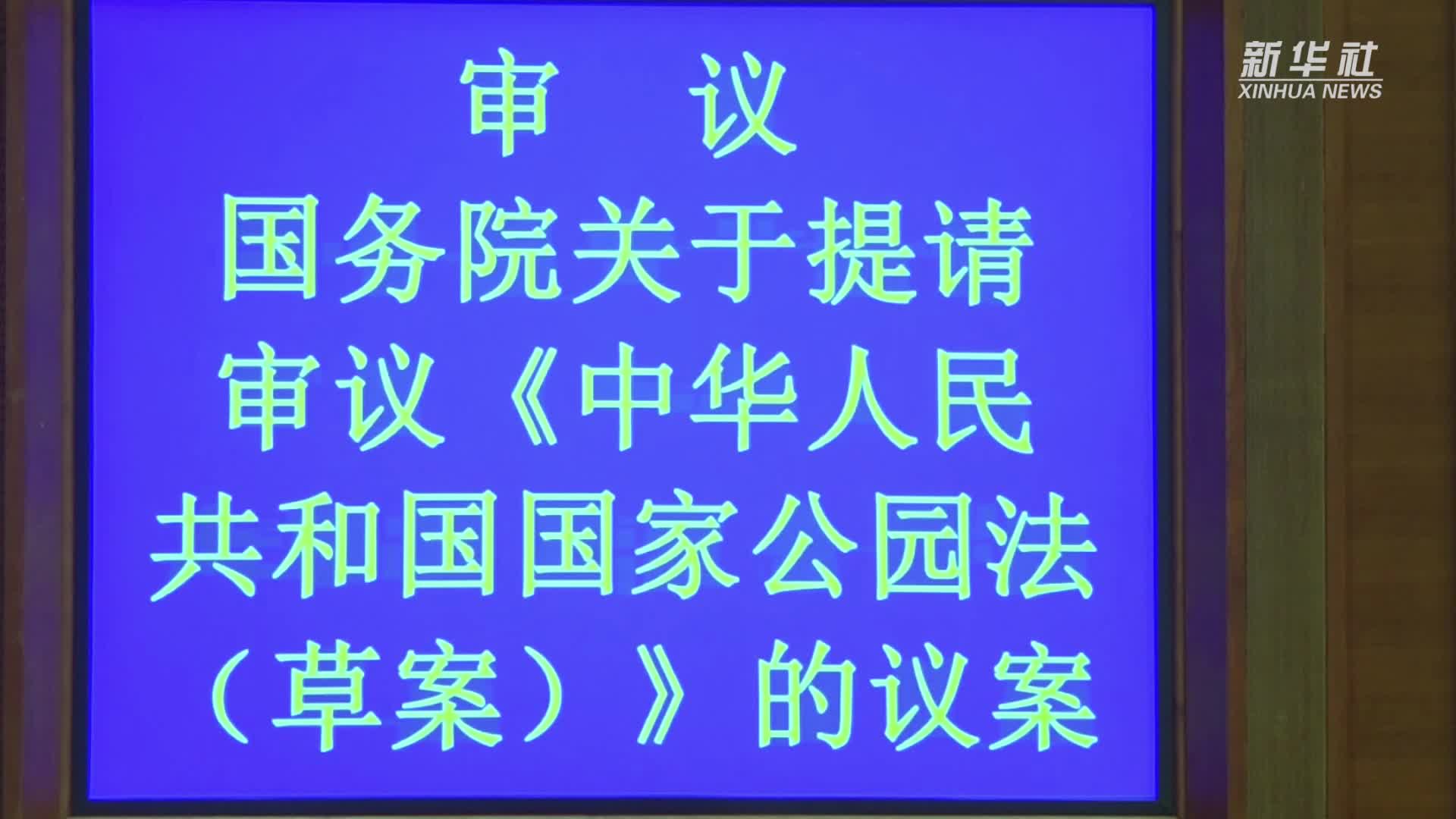 新华鲜报|共赴这场“东方之约”！南博会多元交融有看点