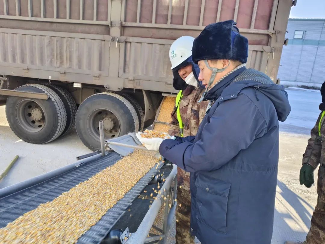 中储粮高效有序执行最低收购价小麦收购,助农舒心满意卖粮