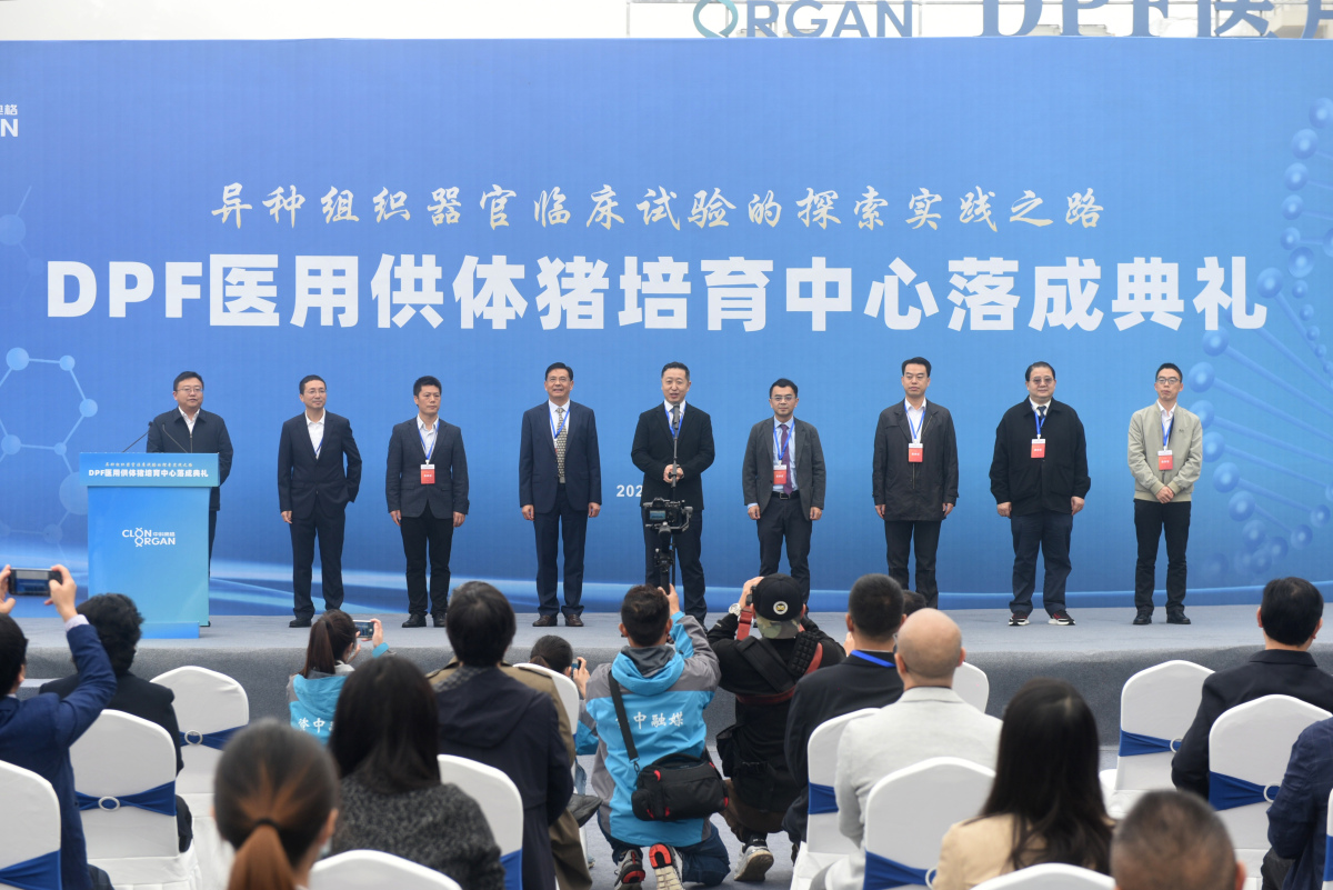 世界首例!中国团队将基因编辑猪肺成功移植人体