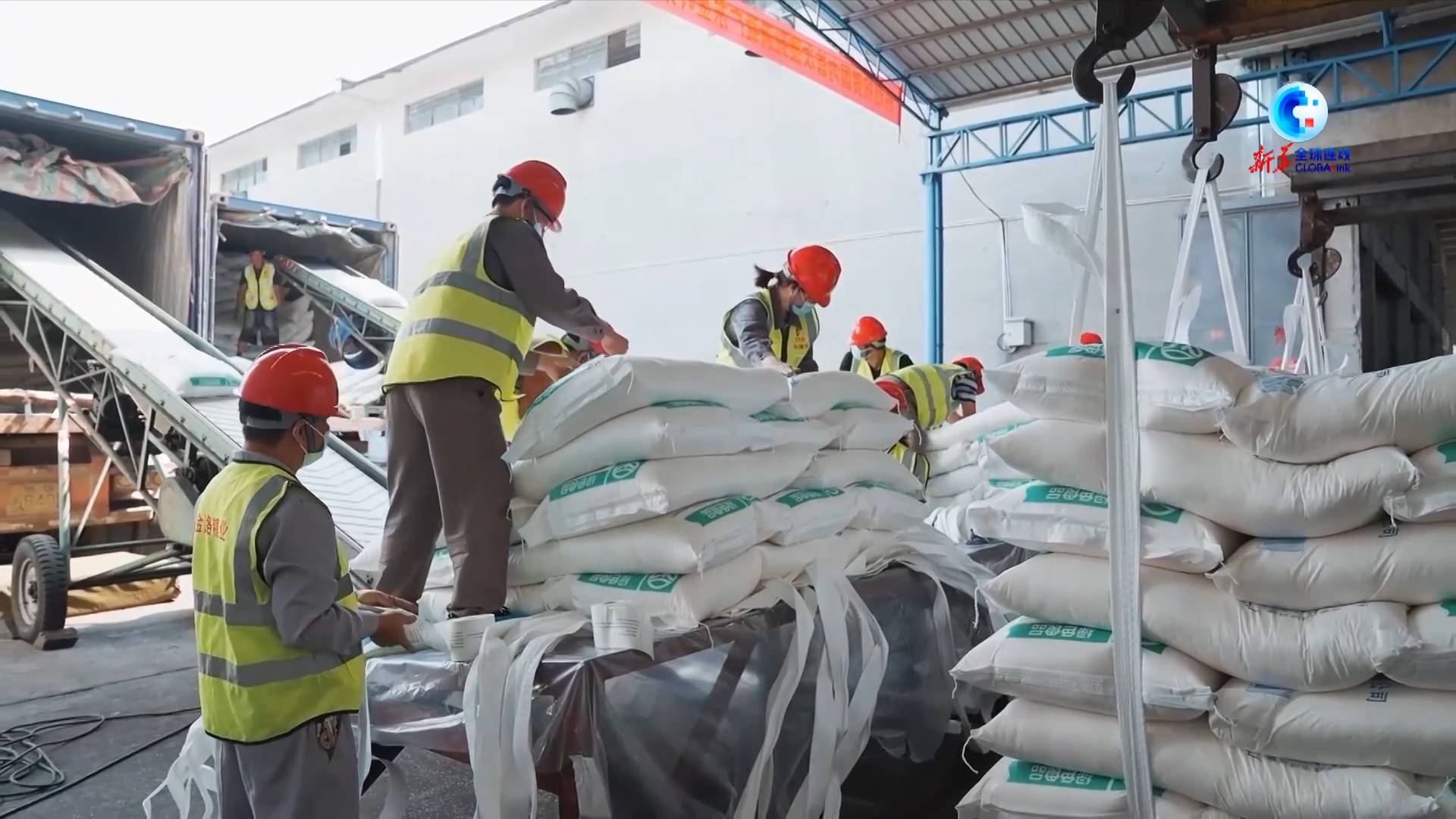 全球连线|他们合作的故事始于东博会